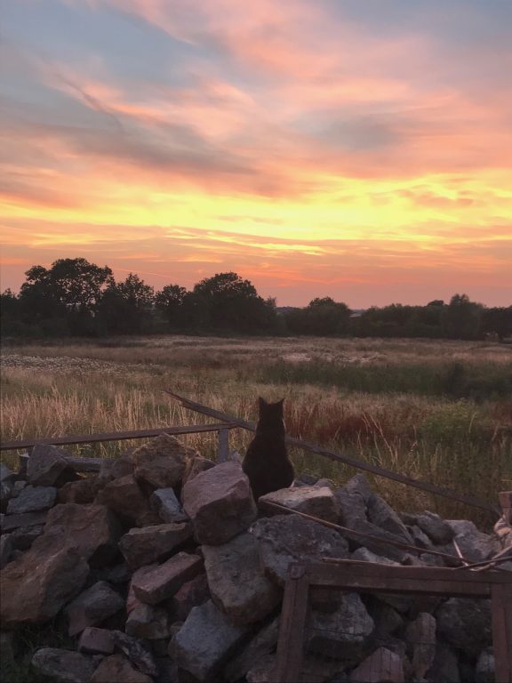 Sunsets from Barnstone taken by Heather Whitaker