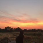 Sunsets from Barnstone taken by Heather Whitaker