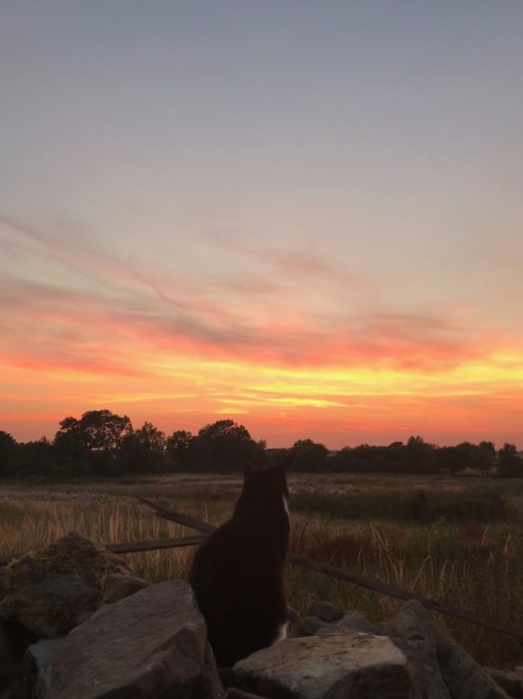 Sunsets from Barnstone taken by Heather Whitaker